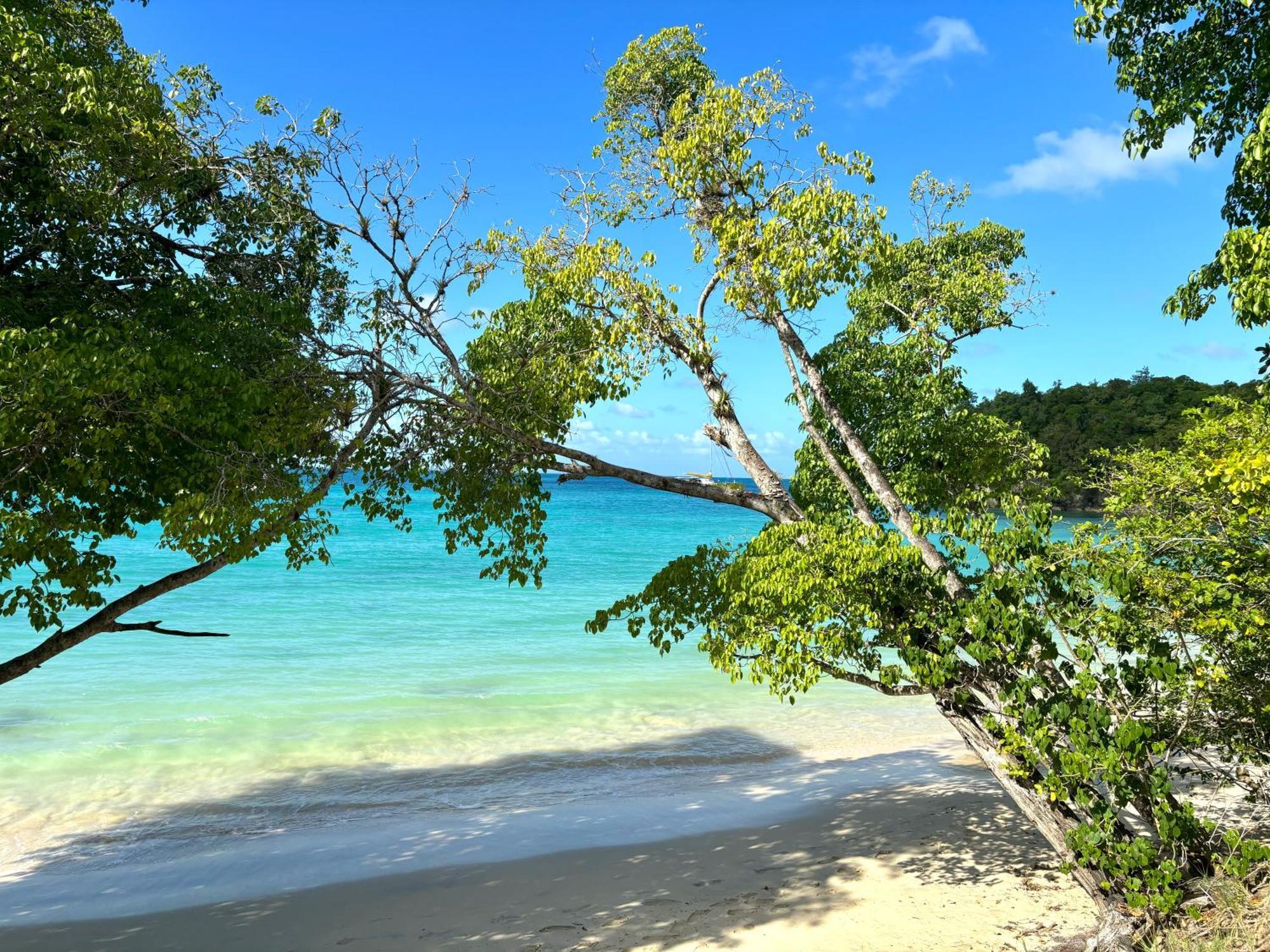 La Ruche De Maia - Blue Dream Beach - Piscine - Jardin - Plage グラン＝ブール エクステリア 写真