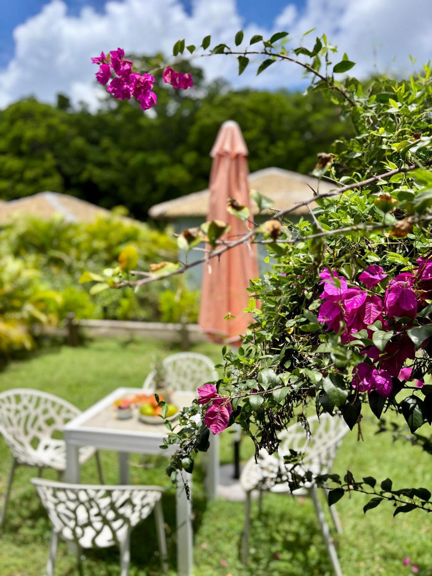 La Ruche De Maia - Blue Dream Beach - Piscine - Jardin - Plage グラン＝ブール エクステリア 写真